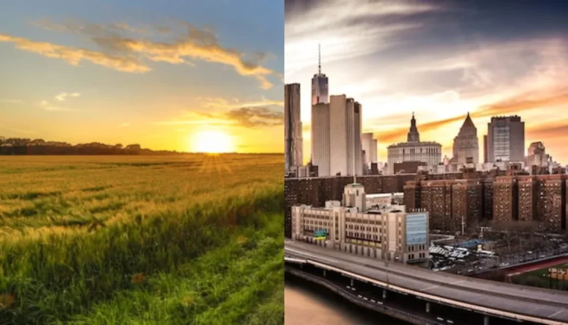 Rural vs urbano